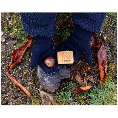 Mãos com luvas segurando castanha e caixa de madeira sobre tronco com folhas no chão