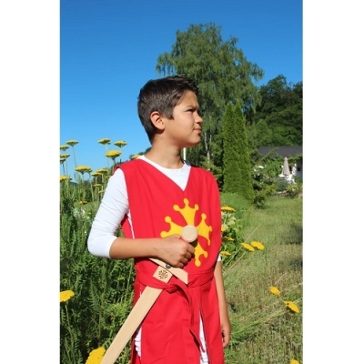 Criança com colete vermelho e espada de madeira em campo com flores amarelas