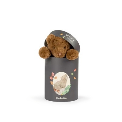 Urso de peluche castanho claro em caixa cinzenta com ilustração e texto