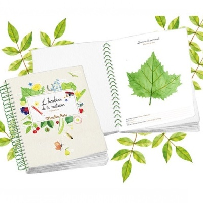 Dois cadernos de botânica, um fechado e outro aberto mostrando uma folha verde