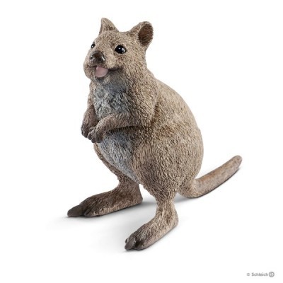 Figura de um quokka cinzento em pose ereta