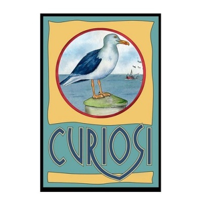 Cartaz com ilustração de gaivota e letra CURIOSI