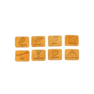 Blocos de madeira com desenhos e nomes em inglês de elementos naturais