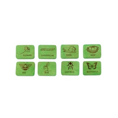 Oito cartões educativos verdes com desenhos e nomes em inglês de insectos e plantas.