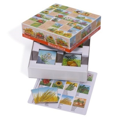 Jogo educativo Weizenkorn com cartas ilustradas de plantas
