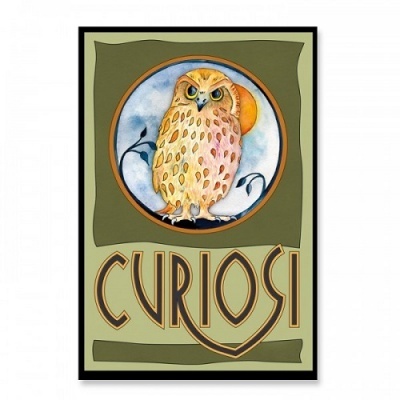 Cartaz com desenho de coruja e texto CURIOSI