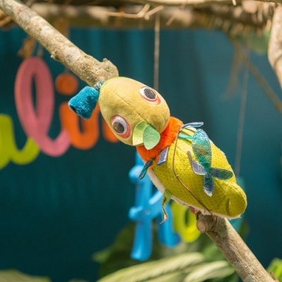 Brinquedo de inseto colorido pendurado num ramo de árvore