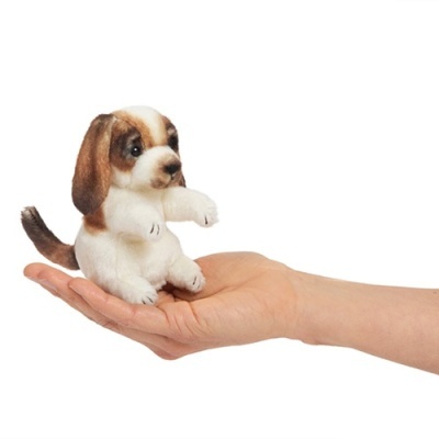Miniatura de cão felpudo na mão humana