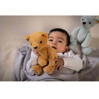 Bebé deitado com ursinho de peluche castanho e outro azul ao lado