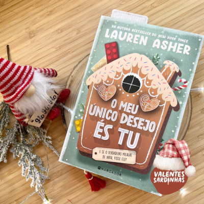 Livro com capa verde e decoração natalícia com gnomo e ramos secos