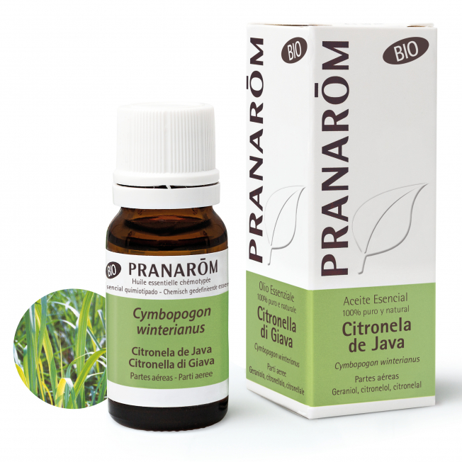 Óleo Essencial de Citronela Java Bio - Pranarôm Frasco e caixa de óleo essencial Citronela de Java da marca Pranarôm com rótulos verde e branca e texto BIO.