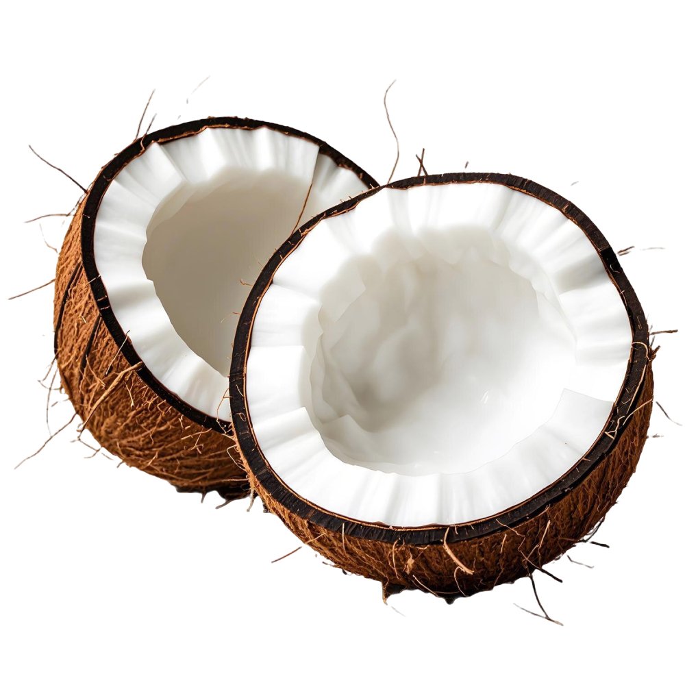 Essência Aromática de Côco Metades de coco com interior branco e casca castanha áspera