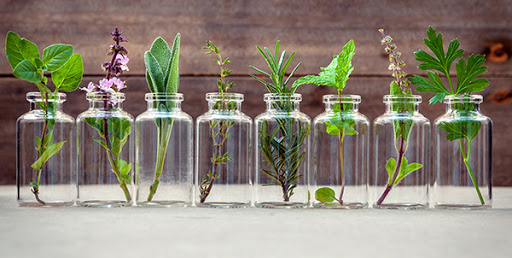 Frascos de vidro com plantas e ervas verdes em fundo rústico de madeira