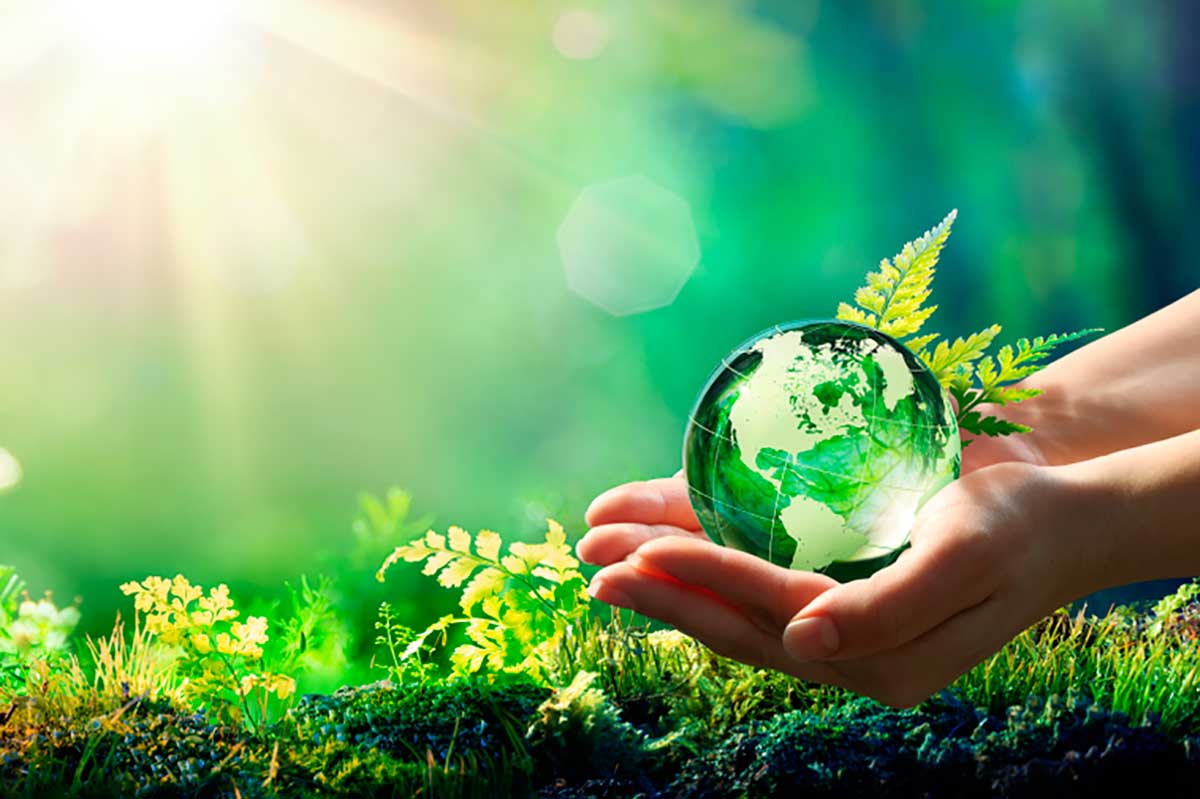 Mãos segurando esfera de vidro com mapa-múndi verde e folha sobre musgo sob luz solar