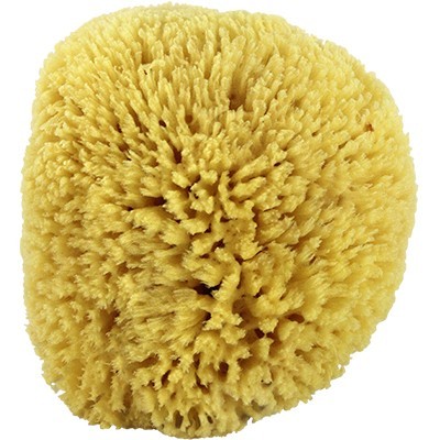 Esponja natural amarela porosa