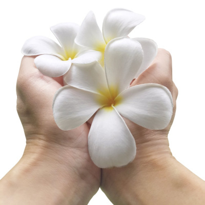 Duas mãos segurando flores brancas com centro amarelo