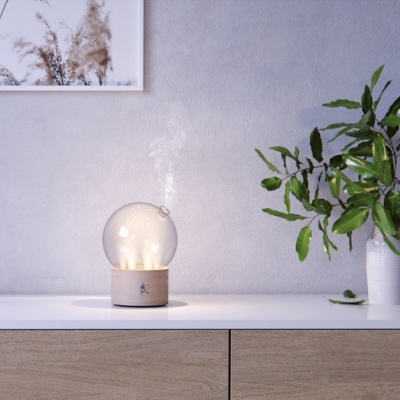 Difusor de ambiente de vidro e madeira numa superfície com planta e quadro ao fundo