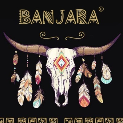 Crânio de búfalo decorado com penas coloridas e texto BANJARA