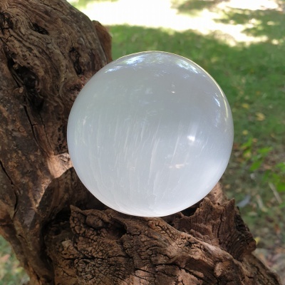 Esfera branca translúcida sobre tronco de árvore rugoso ao ar livre