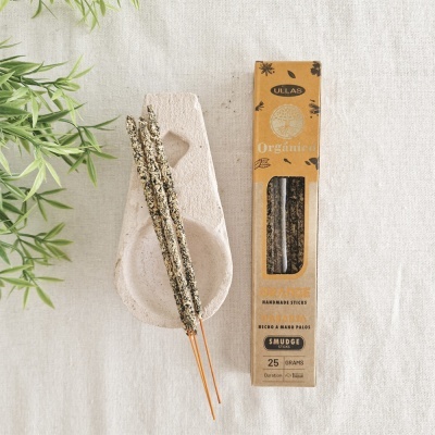 Varas de incenso artesanal com embalagem castanha ao lado e planta verde em fundo neutro