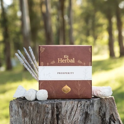 Caixa de kit Herbal PROSPERITY castanha em tronco ao ar livre com pauzinhos e pedras