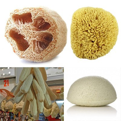 Quatro tipos de esponjas naturais de várias cores e texturas em diferentes contextos