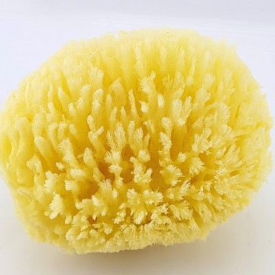 Esponja natural amarela com textura porosa sobre fundo branco
