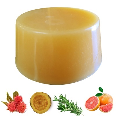 Sabonete sólido amarelo claro com frutas e plantas ao redor