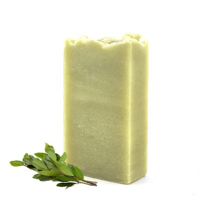 Sabonete sólido verde claro com ramo de folhas verdes em fundo branco