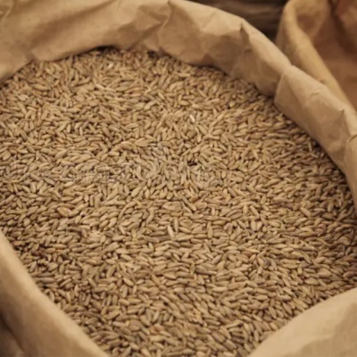 Saco de papel com grãos de trigo castanhos claros