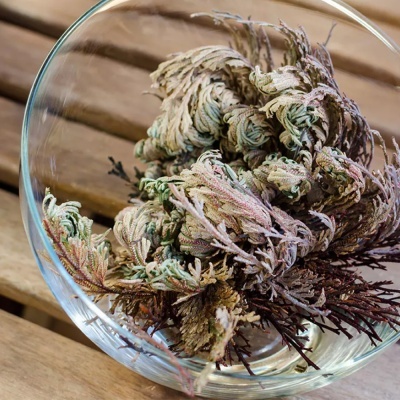 Vaso de vidro com plantas secas em folhas enroladas em tons verdes e castanhos sobre madeira clara