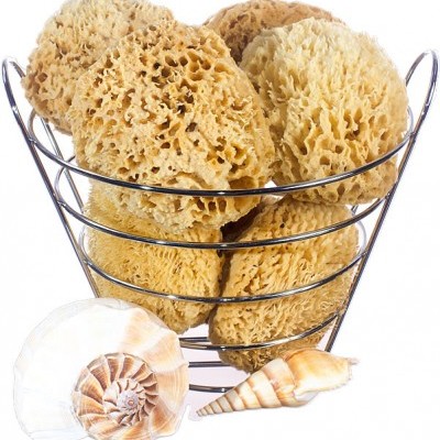 Cesto metálico com esponjas naturais e conchas decorativas