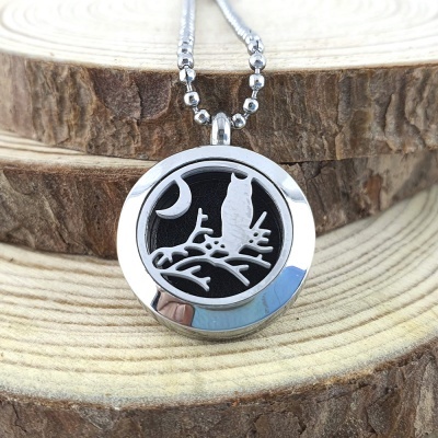 Colar com pendente redondo prateado com coruja e lua