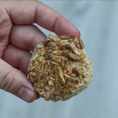 Pessoa a segurar pedaço arredondado de produto alimentar com nozes ou amêndoas