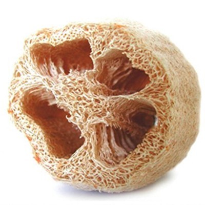 Esponja natural bege com textura fibrosa e cavidades grandes