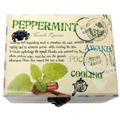 Caixa metálica decorativa com texto e imagens de menta e canela