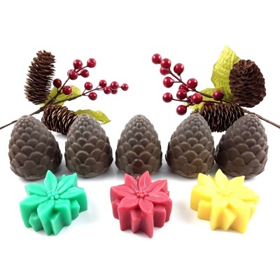 Velas decorativas em forma de pinhas e flores coloridas com ramos naturais em fundo branco