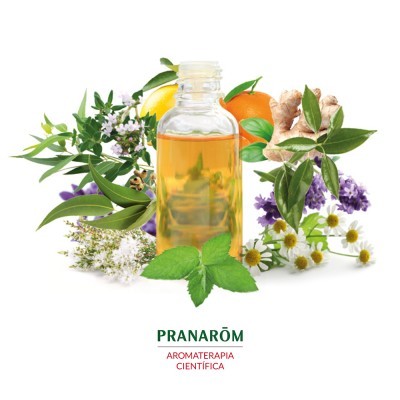 Frasco de óleo essencial com plantas diversas ao fundo e texto 'PRANARÔM AROMATERAPIA CIENTÍFICA'