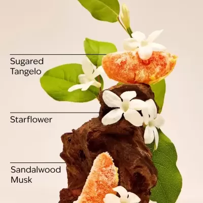 Flores brancas, folhas verdes, pedaços de fruta alaranjada açucarada, paus de madeira e texto com nomes de fragrâncias