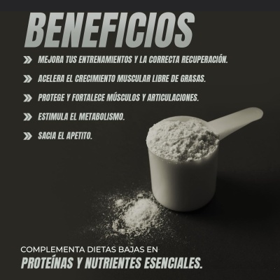 Healthy&#x20;Fusion&#x20;Whey&#x20;Protein&#x20;X3&#x20;Bolacha&#x20;1kg&#x20;&#x7C;&#x20;Whey&#x20;Protein&#x20;com&#x20;Colag&#x00E9;nio&#x20;e&#x20;Magn&#x00E9;sio&#x2705;PRONTA&#x20;ENTREGA