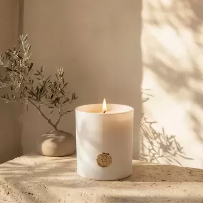 Coala&#x20;Duo&#x20;Essencial&#x20;COAH&#x20;Collection&#x20;N&#x00BA;&#x20;01