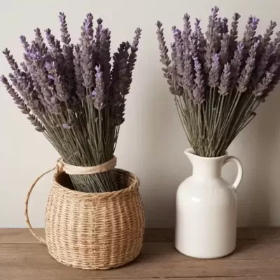 Relax&#x20;Ritual&#x20;Cycles&#x20;210&#x20;g