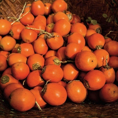 NATURA&#x20;-&#x20;Tucum&#x00E3;&#x20;Sabonetes&#x20;Cremosos&#x20;e&#x20;Esfoliantes&#x20;-&#x20;Ekos&#x20;-&#x20;4&#x20;x&#x20;100&#x20;g