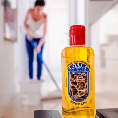 Coala&#x20;Ess&#x00EA;ncias&#x20;&#x2013;&#x20;Limpador&#x20;Perfumado&#x20;de&#x20;Ambientes&#x20;Cravo&#x20;e&#x20;Canela&#x20;120&#x20;ml&#x2705;PRONTA&#x20;ENTREGA