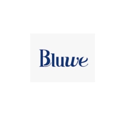 Logótipo azul com texto 'Bluwe' em fundo branco