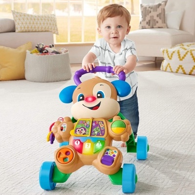 Brinquedo para bebés em forma de cão com botões coloridos, empurrado por bebé