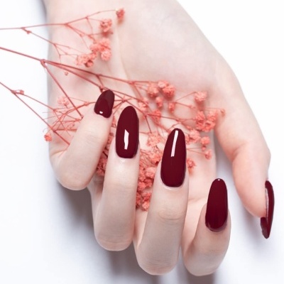 Mão com unhas compridas e vinho escuro segurando flores secas cor-de-rosa