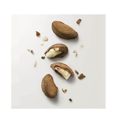 Leite&#x20;Hidratante&#x20;Corporal&#x20;Castanha&#x20;Natura