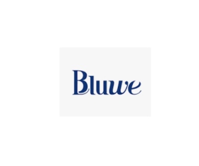 Logótipo azul com texto 'Bluwe' em fundo branco