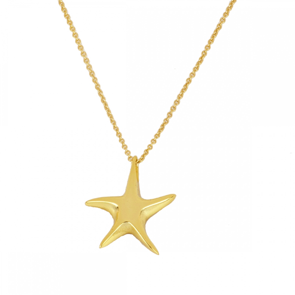 Colar dourado com pendente de estrela-do-mar